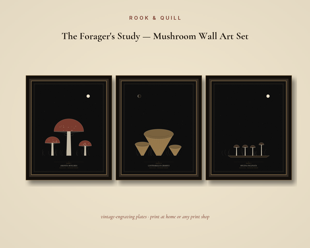 The Forager's Study — Mushroom Wall Art Set — gallery