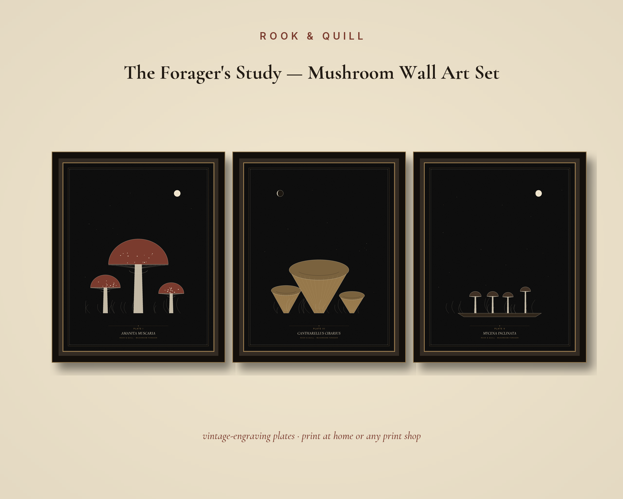 The Forager's Study — Mushroom Wall Art Set — gallery