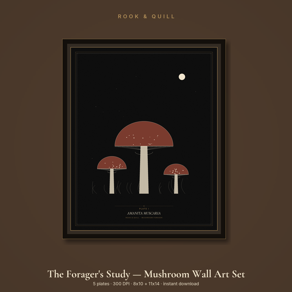 The Forager's Study — Mushroom Wall Art Set — hero