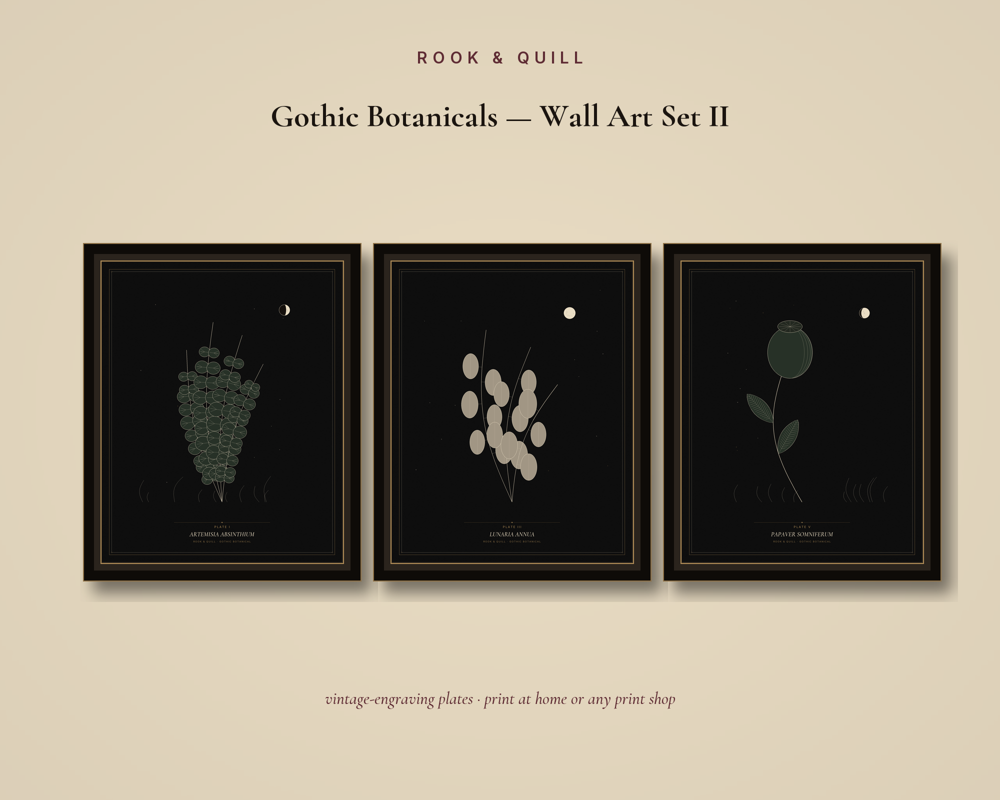 Gothic Botanicals — Wall Art Set II — gallery