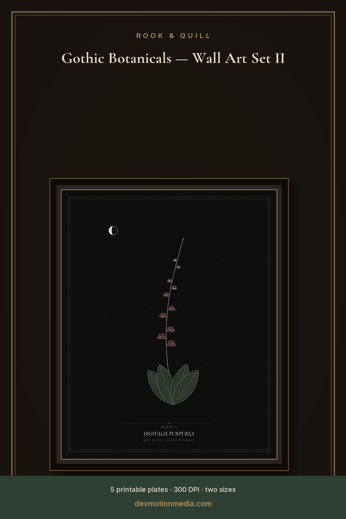 Gothic Botanicals — Wall Art Set II — pin