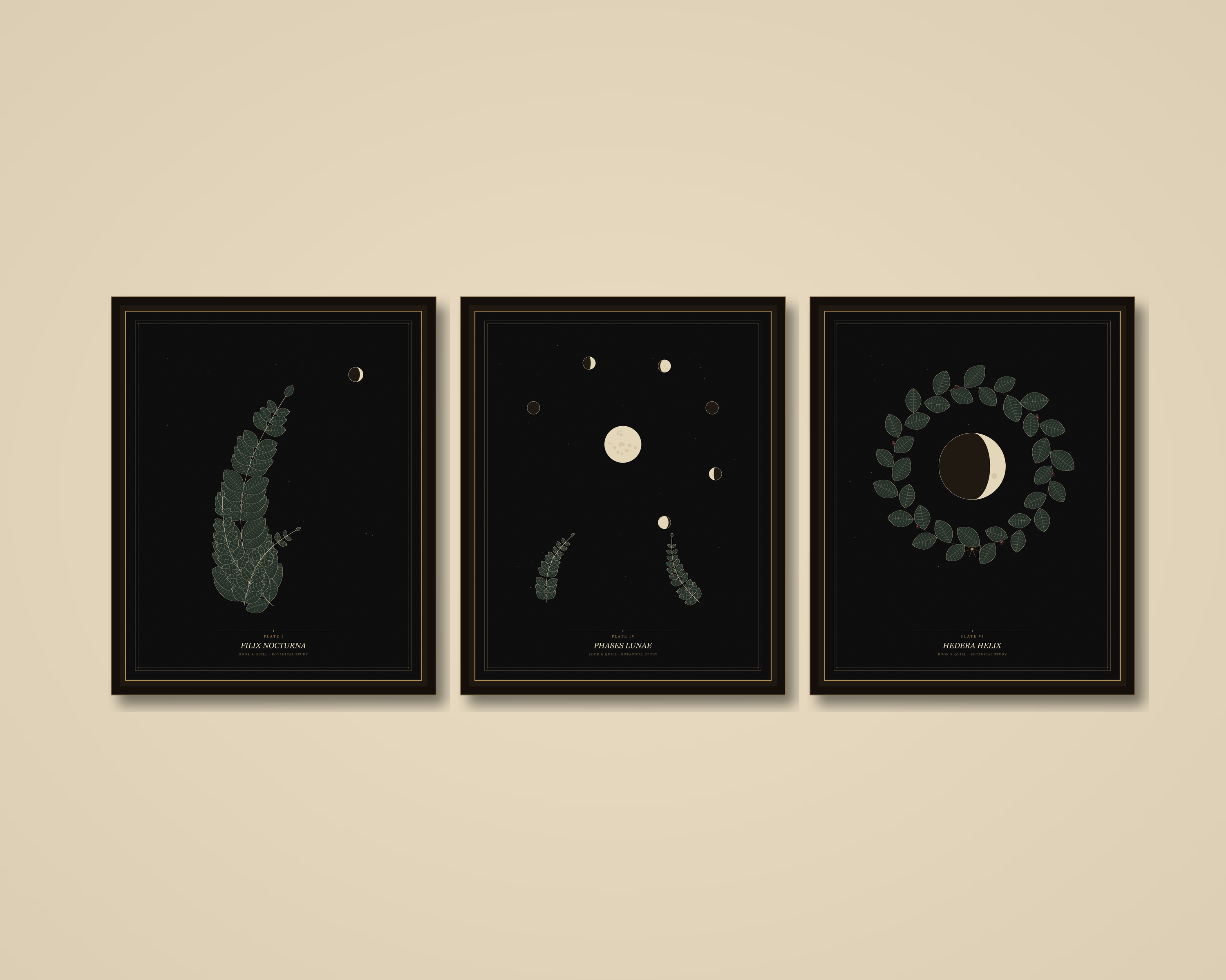 Moody Botanicals Printable Wall Art Set
