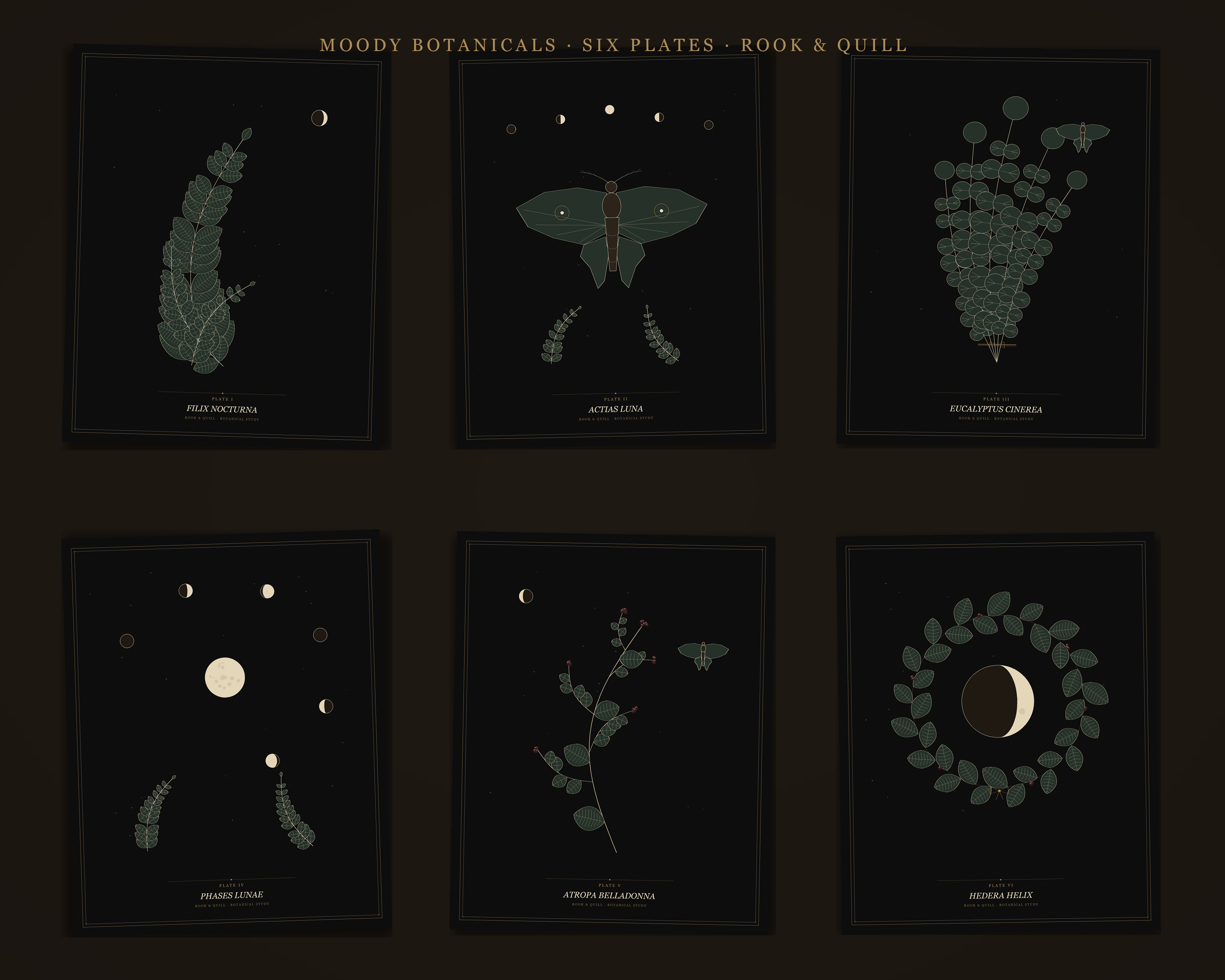 Moody Botanicals Printable Wall Art Set