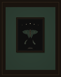Moody Botanicals Printable Wall Art Set